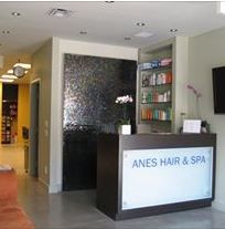 Anes Hair &a; Spa - Logo