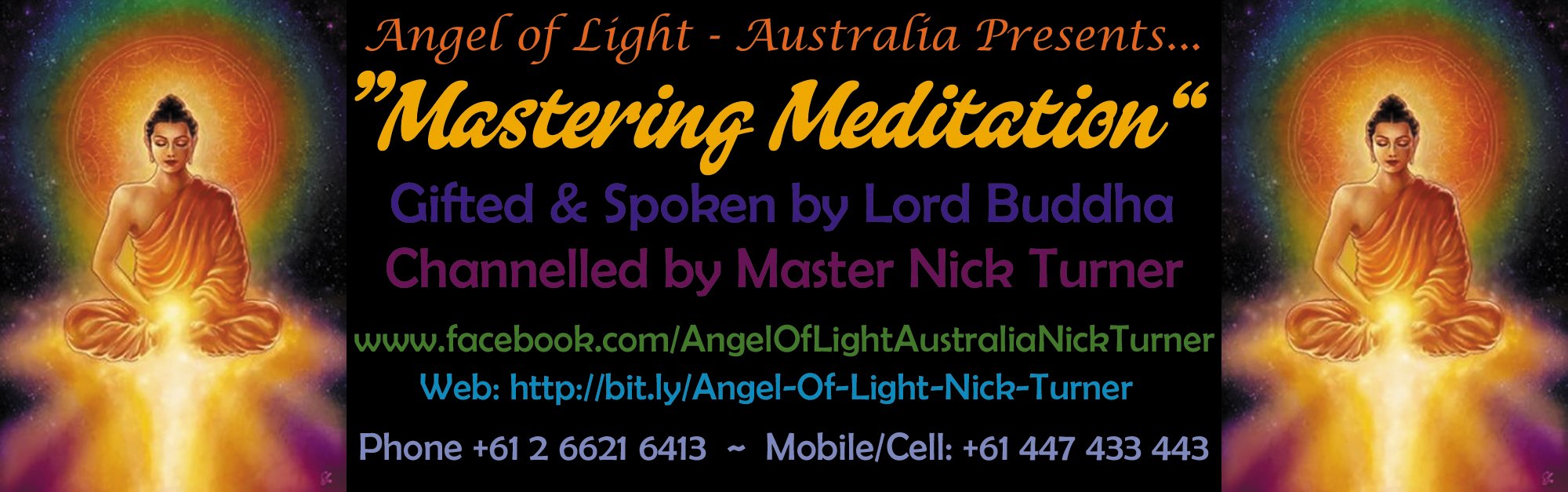 Angel of Light Nick Turner - Logo
