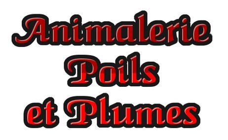 Animalerie Poils et Plumes - Cover photo