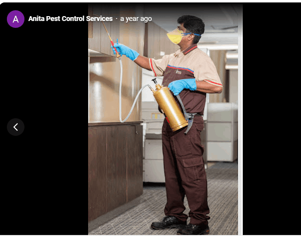 Anita Pest Control Services - Cover photo