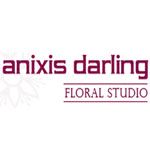 Anixis Darling Floral Studio - Logo
