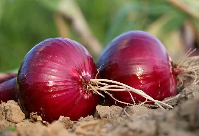 Anjana Traders - Cover photo
