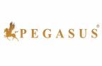 Anna Huynh - Pegasus Mortgages and Financial Solutions - Logo