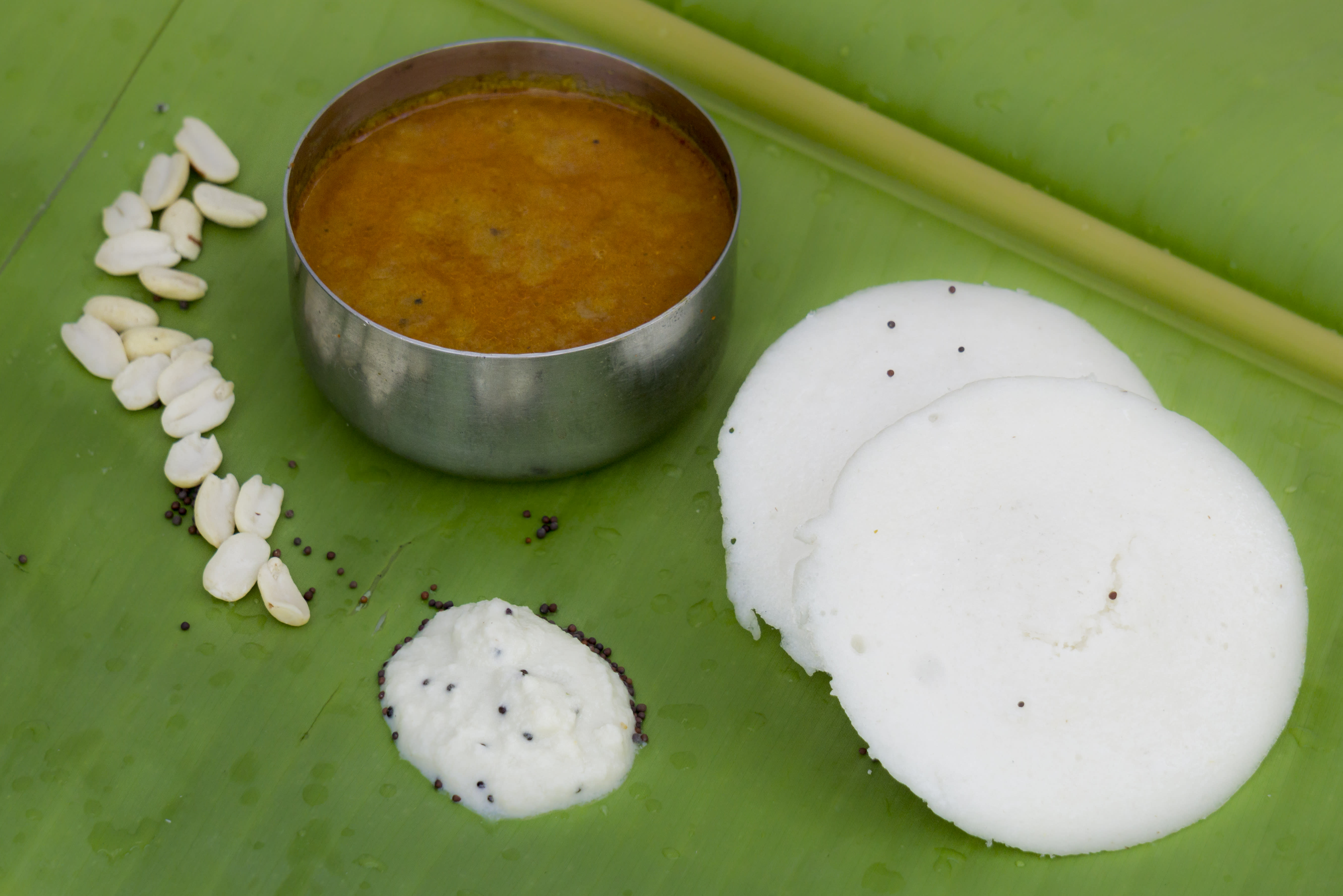Anna Idali Loni Dosa - Logo