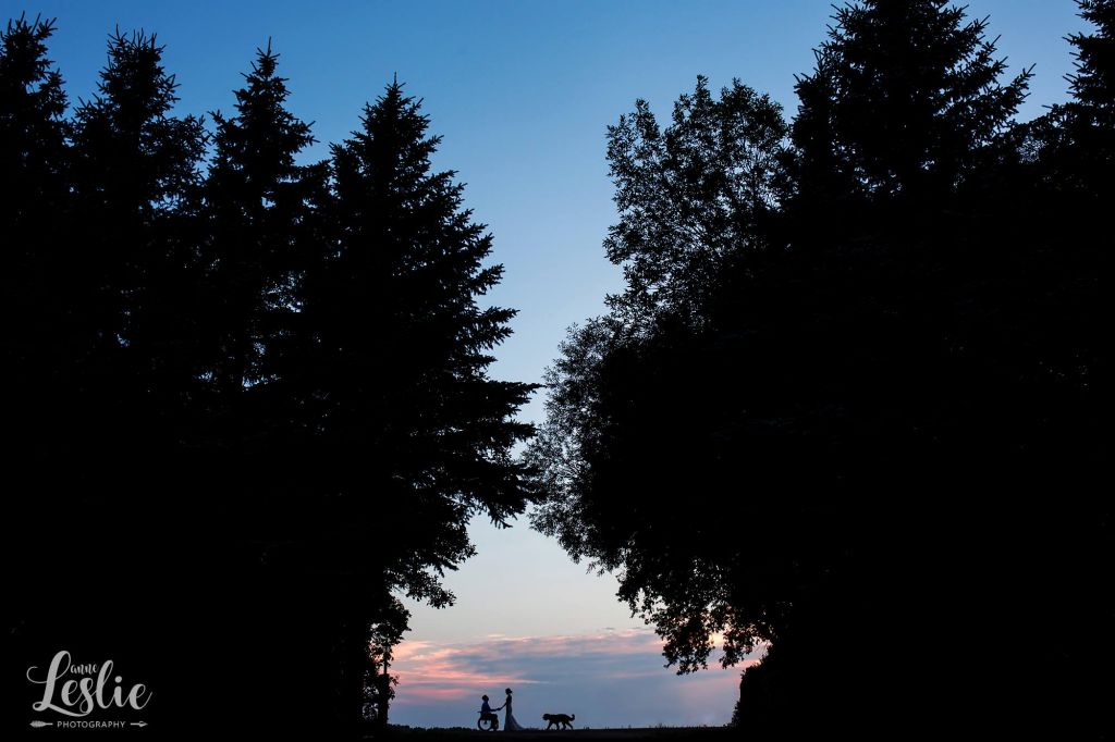 Anne Leslie Photography - Cover photo