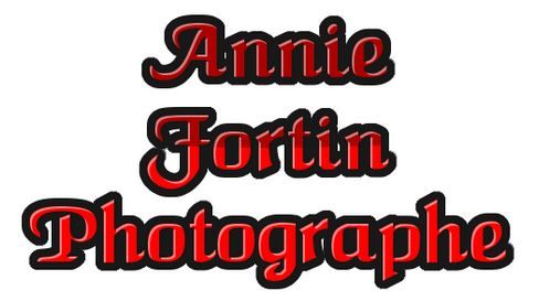 Annie Fortin Photographe - Logo