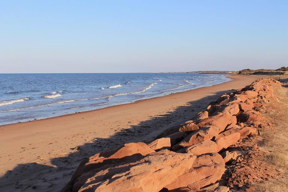 Ann Wonnacott - RE/MAX - Cover photo