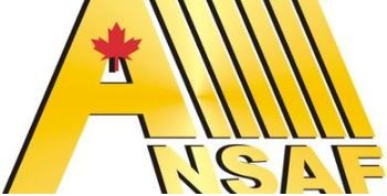 ANSAF Accounting &a; Tax Services - Logo