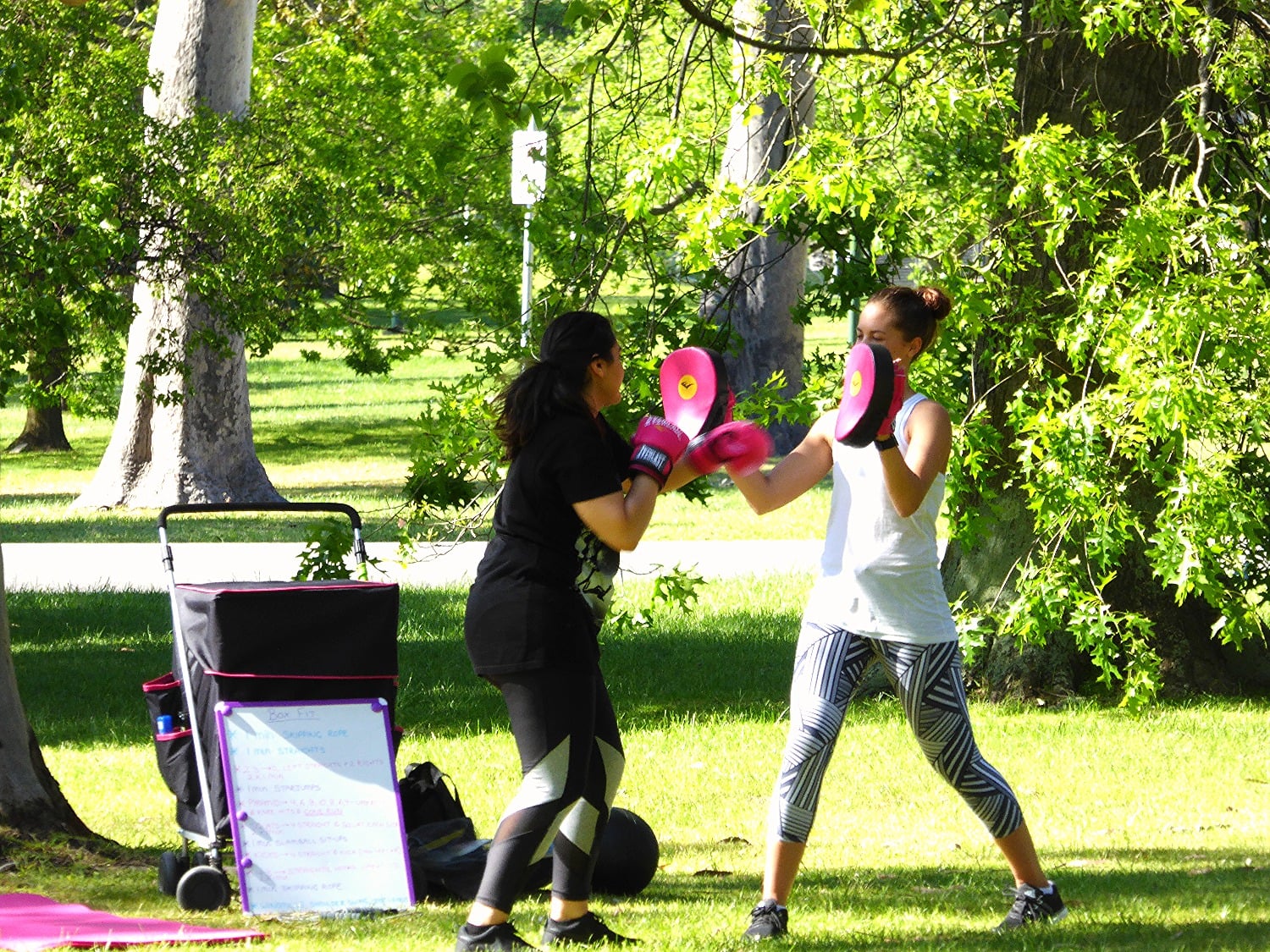 Anuyu Female Fitness - Logo