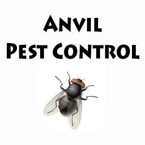 Anvil Pest Control - Logo