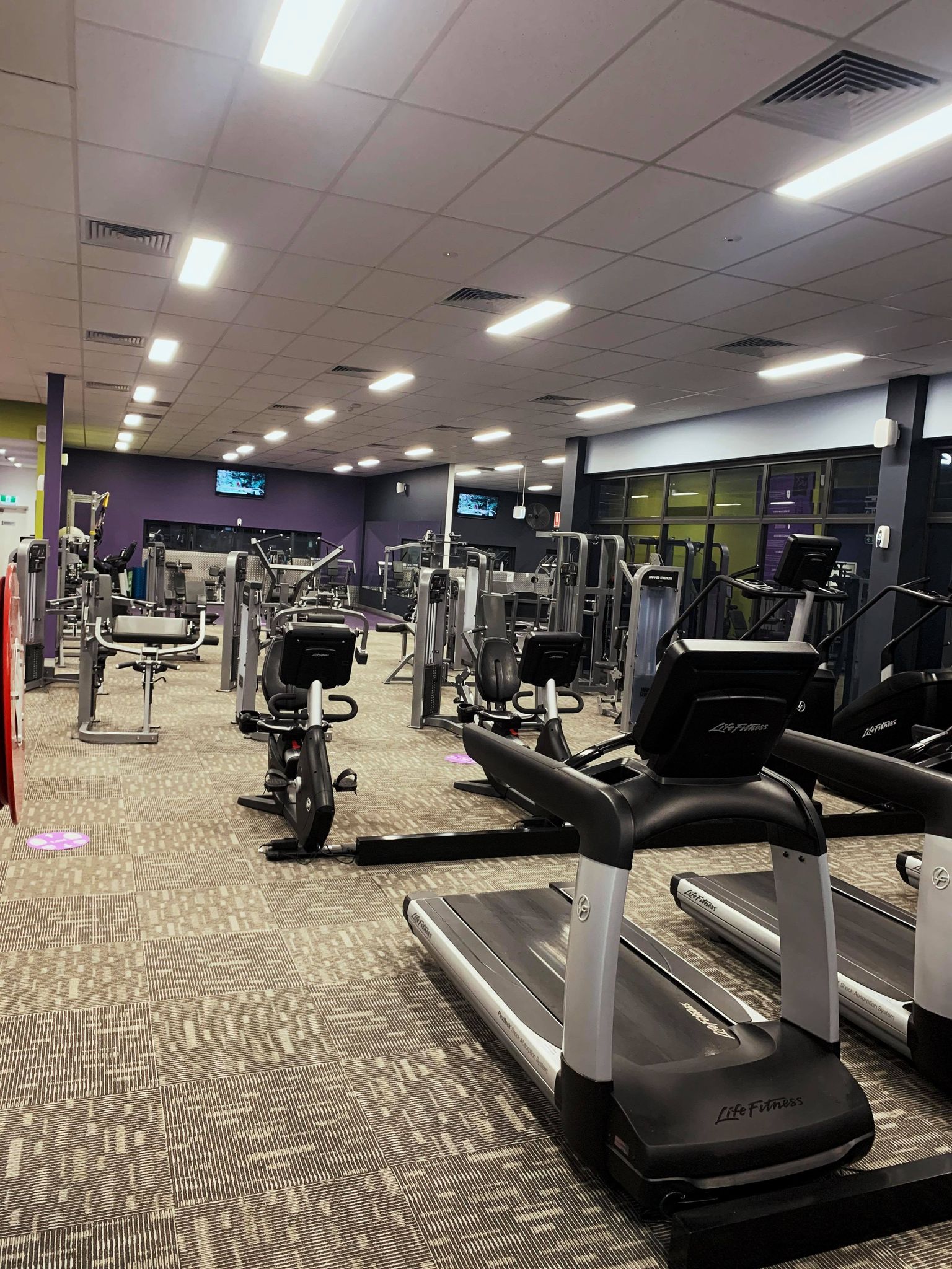 Anytime Fitness Wyong - Logo
