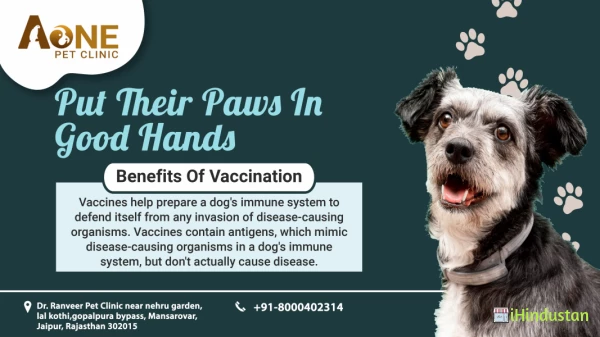 A One Pet Clinic - Logo