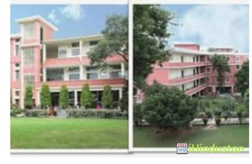 Apeejay College of Fine Art Apeejay College of Fine Art - Logo