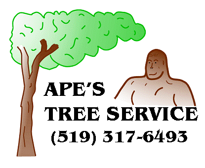 Ape&s;s Tree Service - Logo