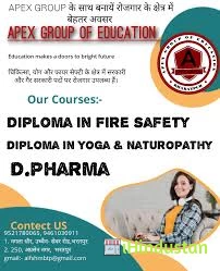 Apex pharmacy college - Logo