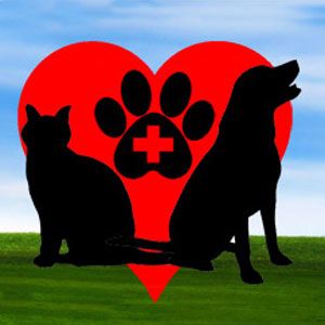 Apollo Animal Hospital - Logo