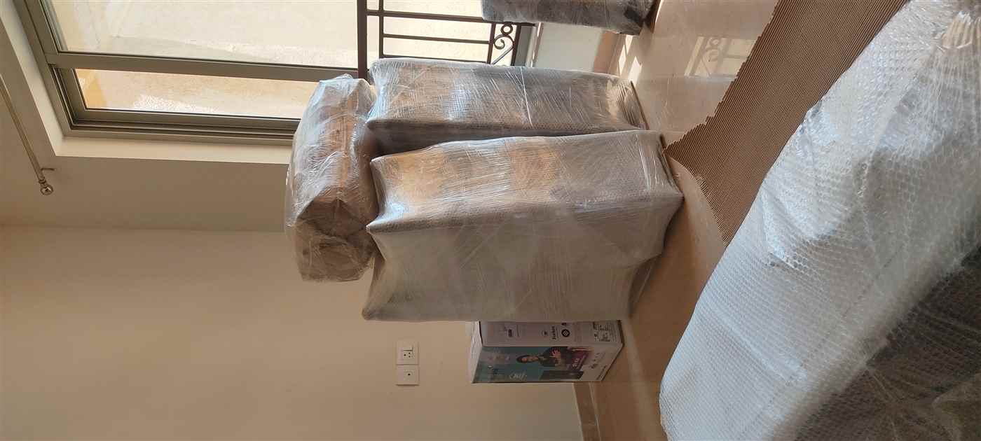 Apollo Relocation Packers And Movers - Cover photo