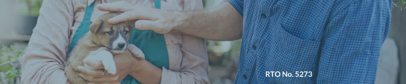 Applied Vocational Training - Cover photo