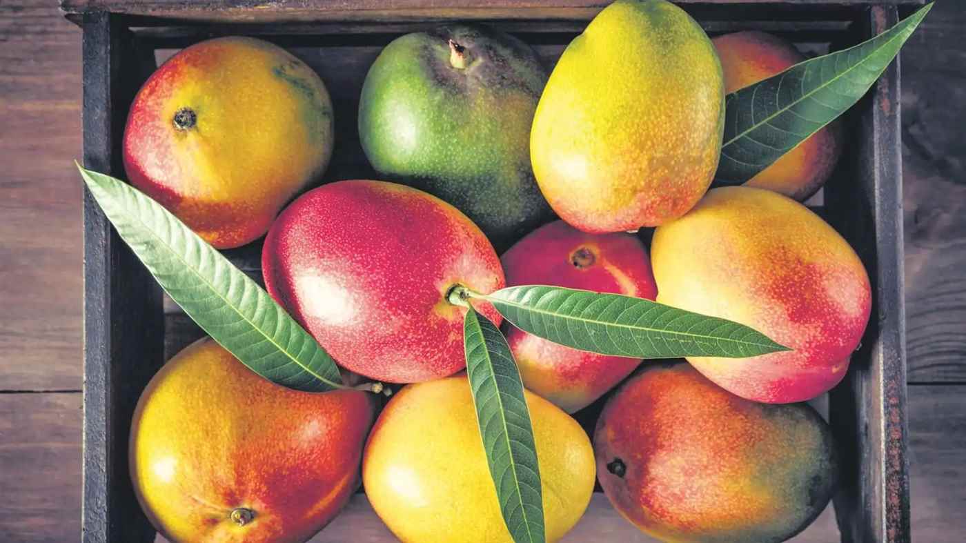 Appu Fruit Shop - Cover photo