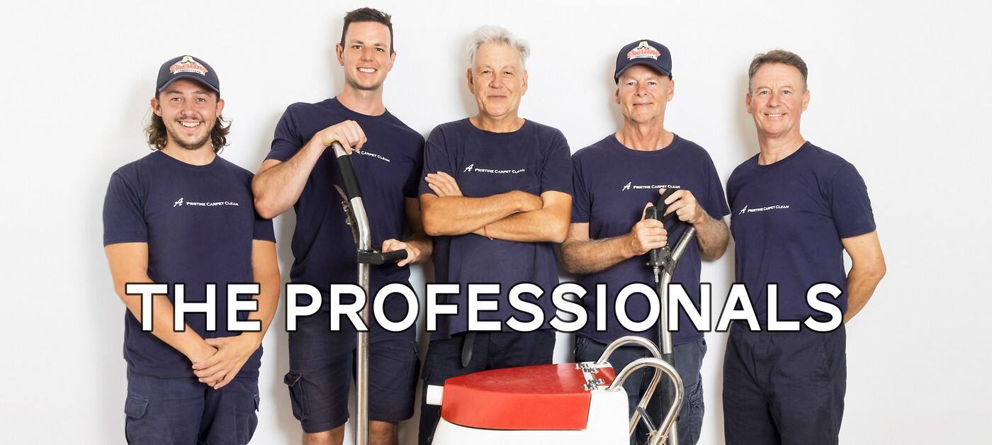 A Pristine Carpet Clean - Logo