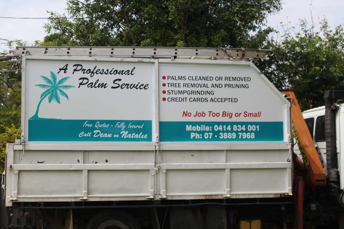 A Professional Palm Service & Tree Lopping - Logo