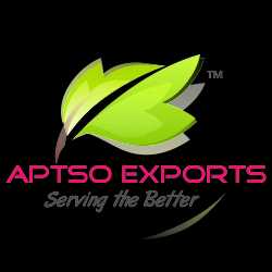 Aptso Exports 249517 - Logo