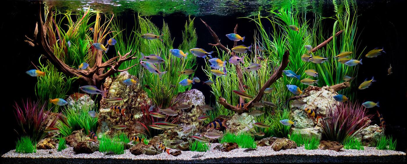Aqua Led - Cover photo