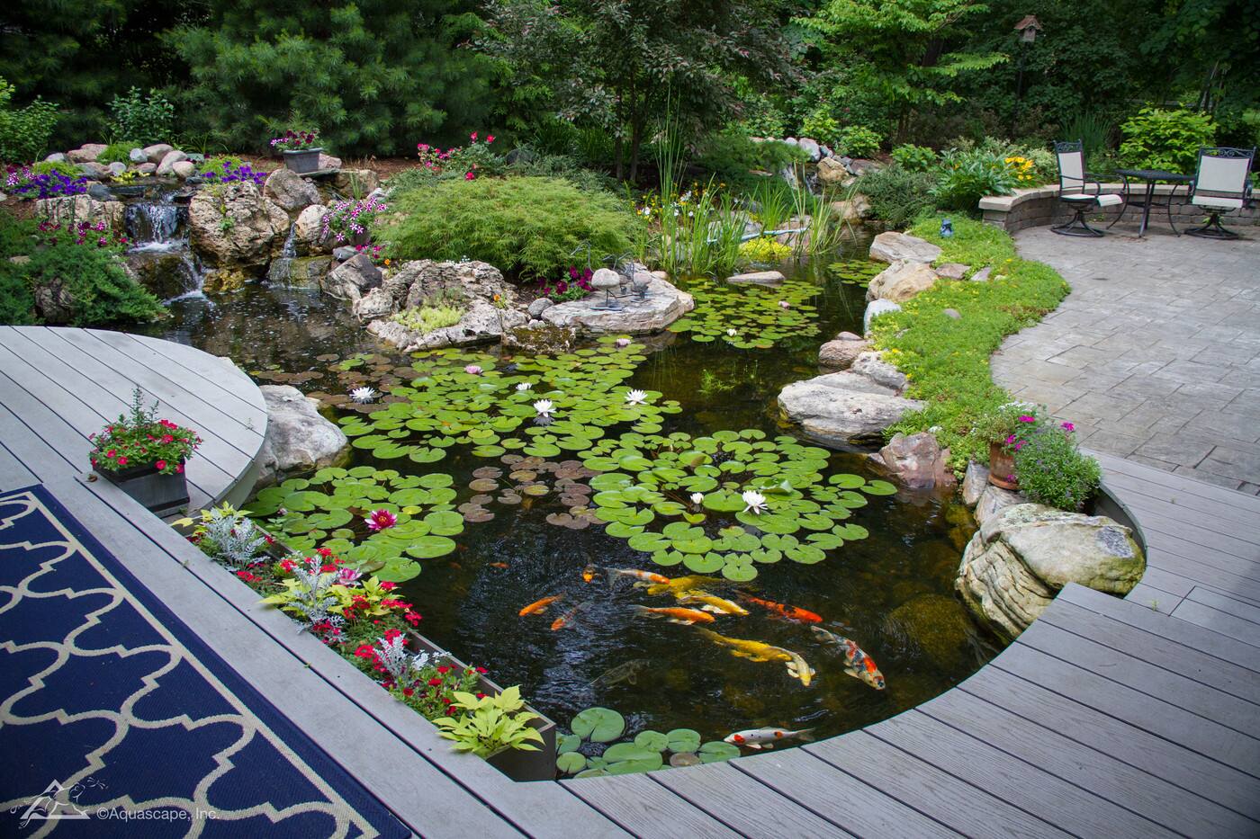 Aquascape Supplies Australia - Cover photo