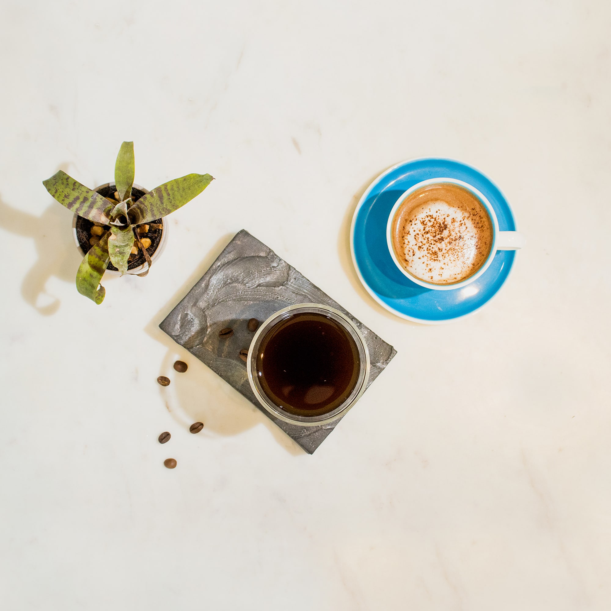 ARAKU Coffee - Logo