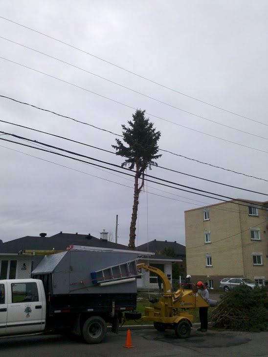 Arbeau SPOT Inc. - Service D&s;Arbres - Cover photo