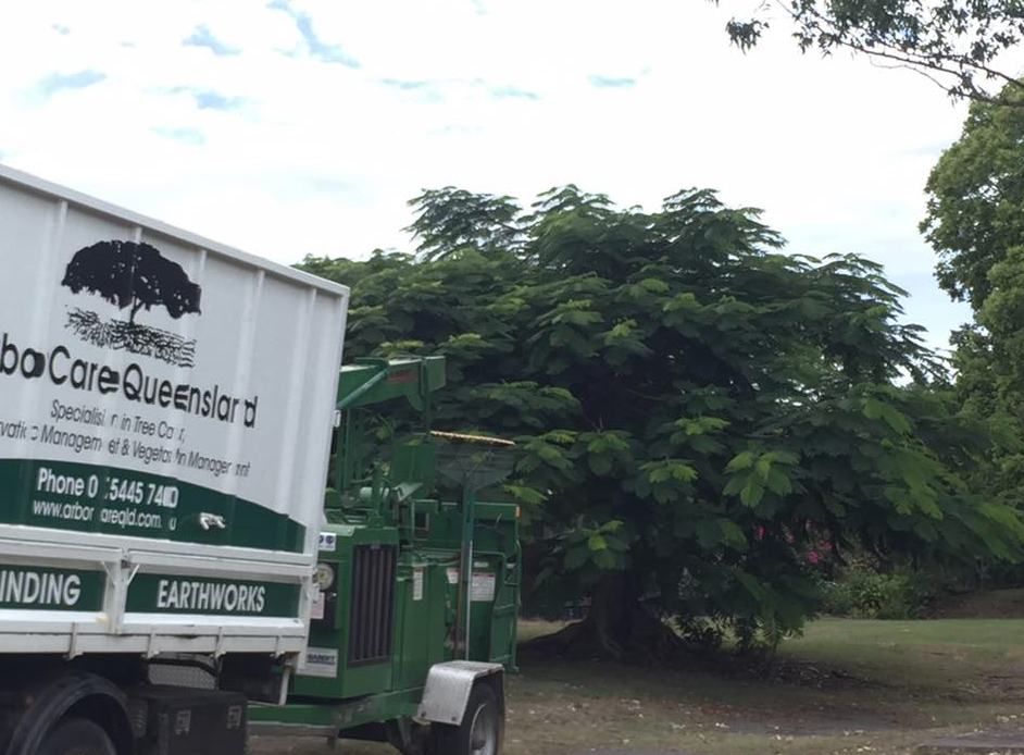 Arborcare Queensland - Logo