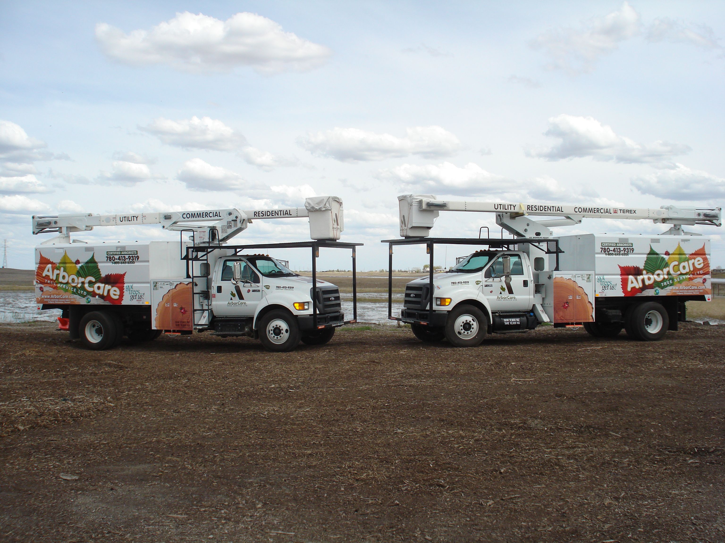 ArborCare Tree Service Ltd. - Logo