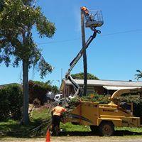 Arborcare�Tree Services - Cover photo