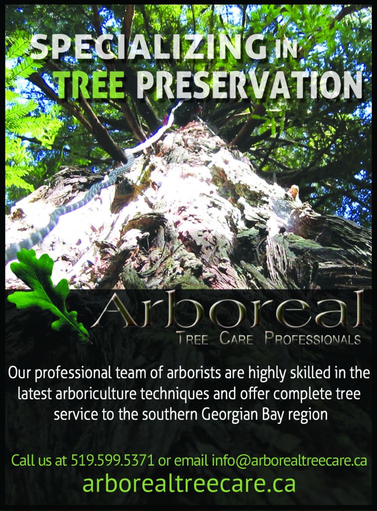Arboreal Tree Care Professionals - Logo