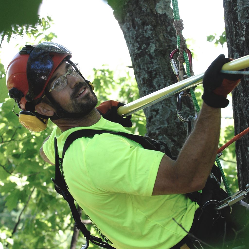 Arboria Inc - Cover photo