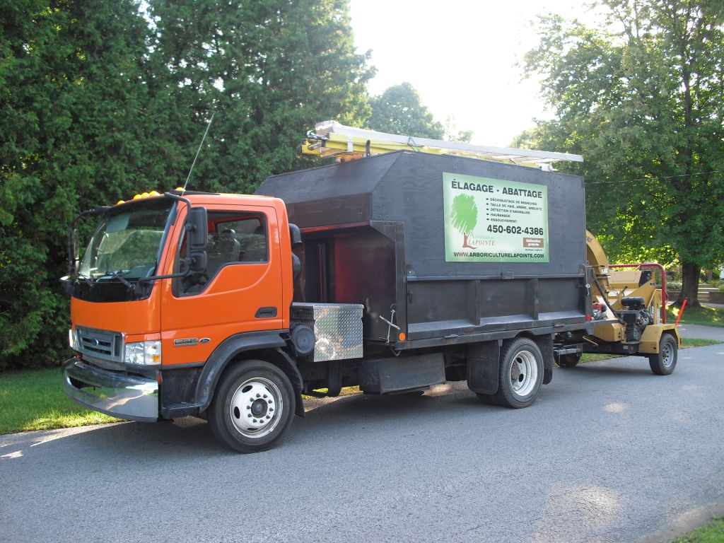 Arboriculture Lapointe - Cover photo
