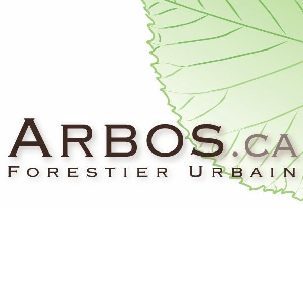 Arbos.ca - Logo