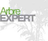 Arbre Expert - Logo