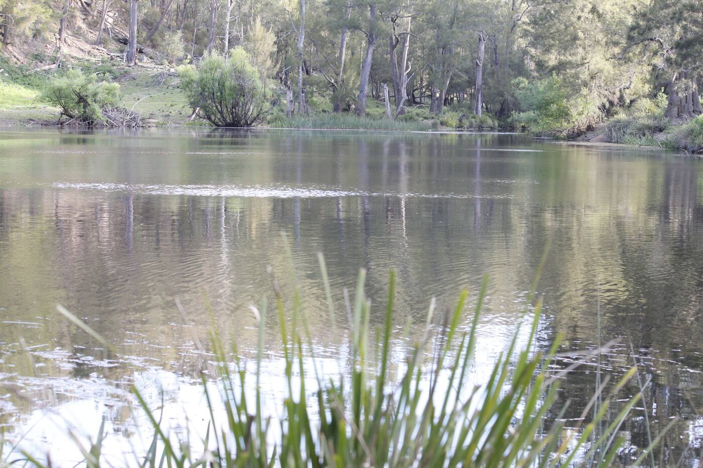 Arcadian Cabins Holiday Accommodation - Cover photo