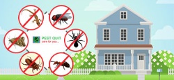 Arise High Care pest control services - Logo