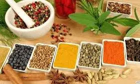 Arjun Pansari & Ayurvedic Store - Logo
