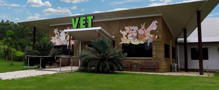 Ark Animal Hospital - Logo