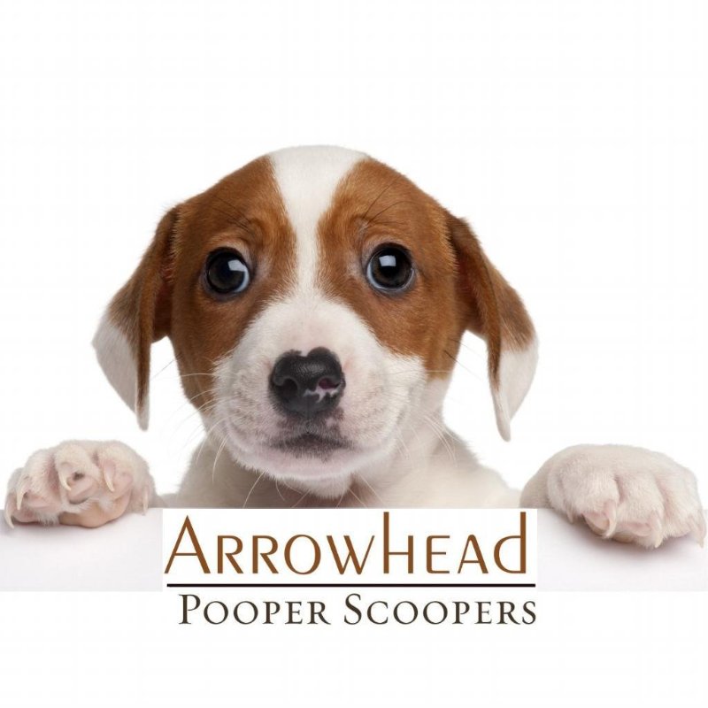 Arrowhead Pooper Scoopers - Logo