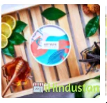 Artiste - Handcrafted Ice Cream - Logo