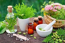 Arya Homeopathic Pharmacy - Logo