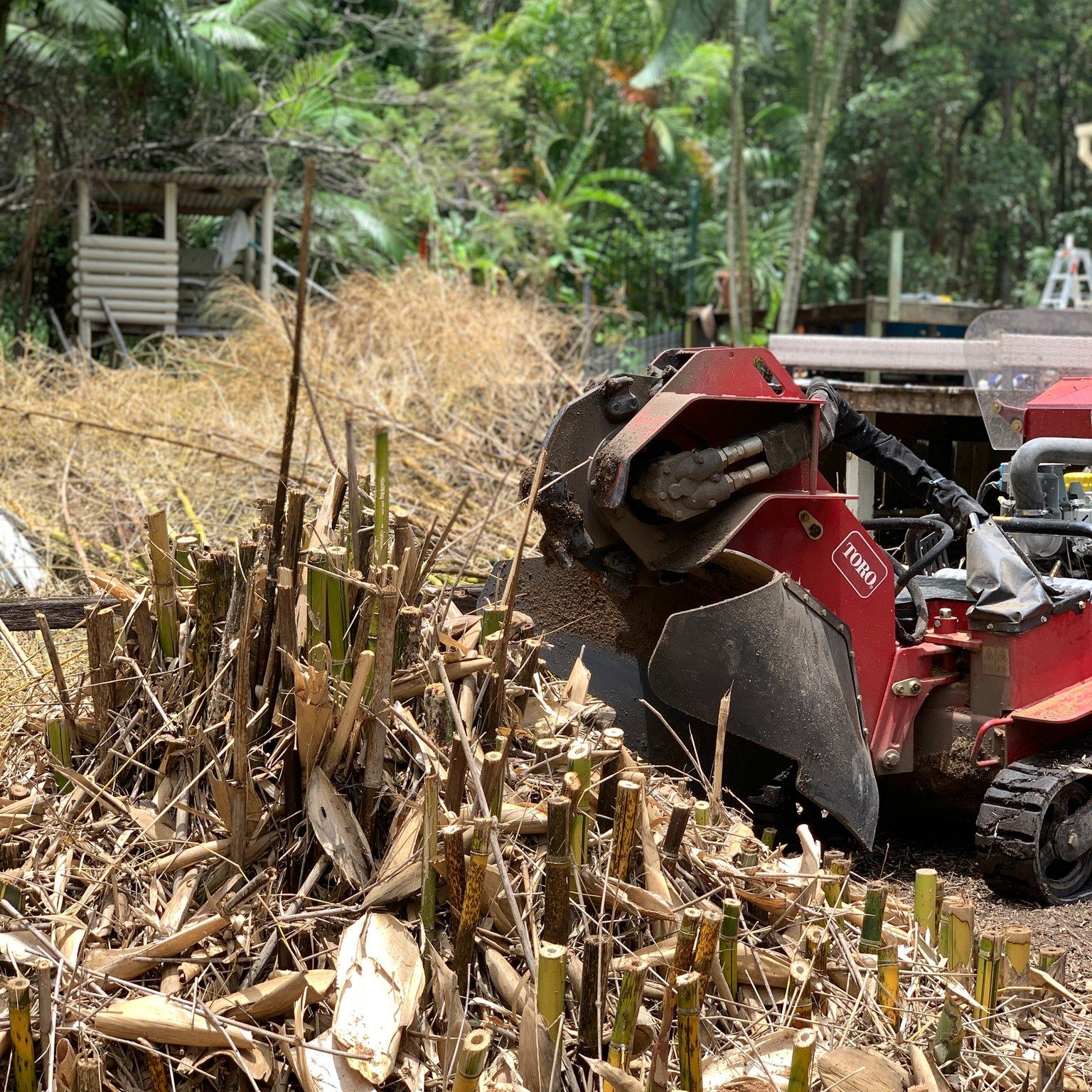 ASAP Stump Grinding - Logo