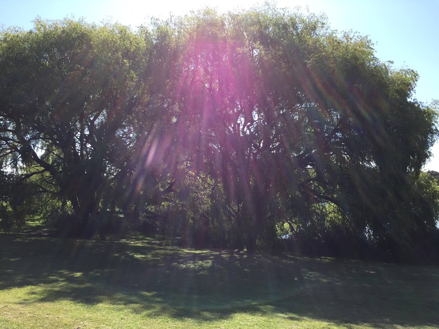 Ascension Pathways - Cover photo