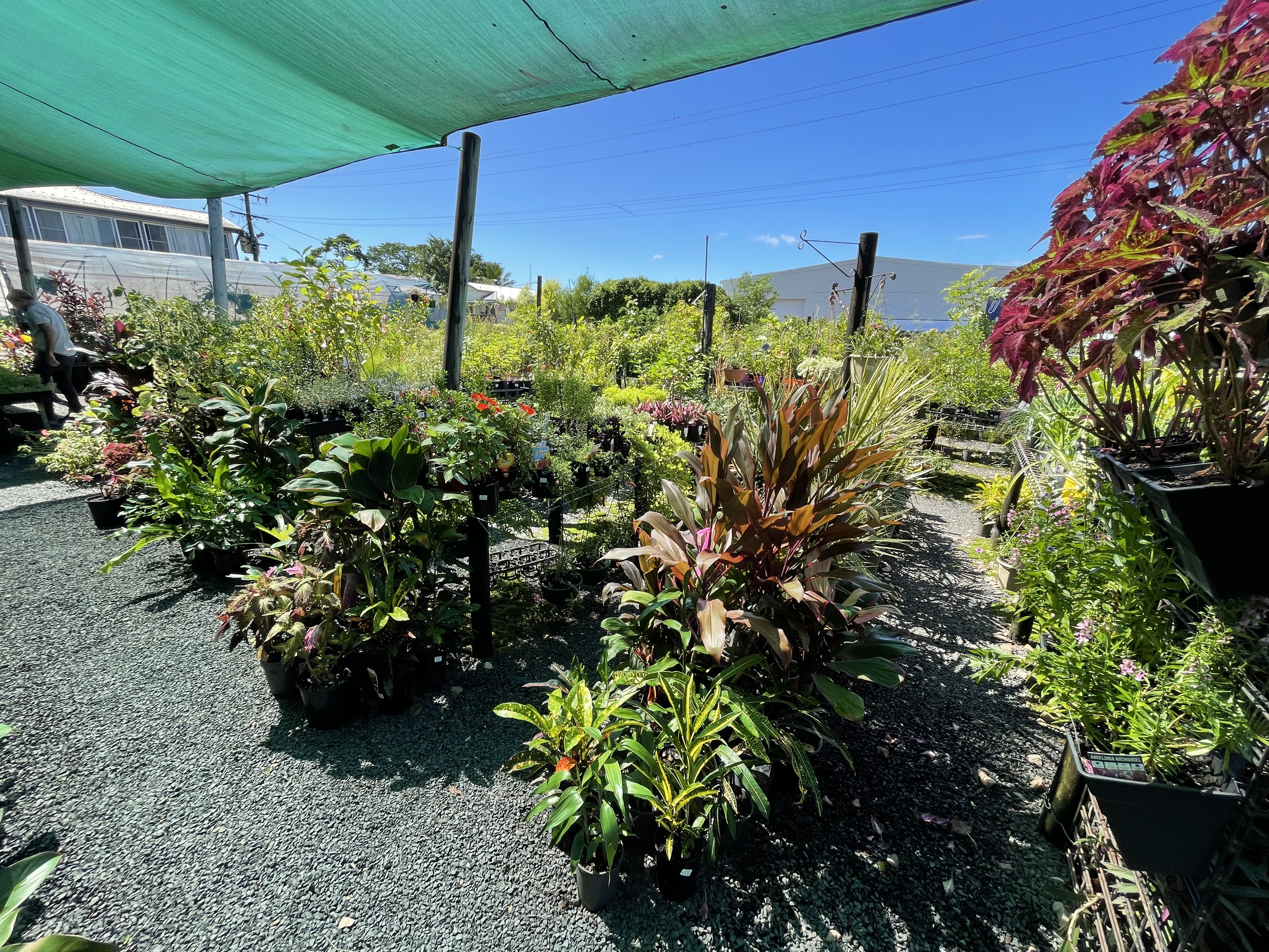 As Green As Garden Centre - Logo