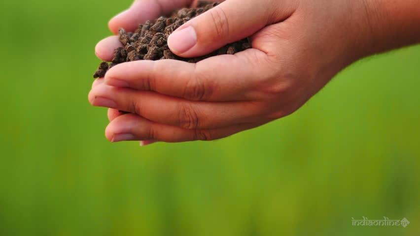 Asian Agro Agency - Cover photo
