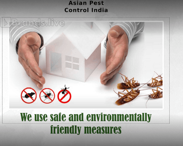 Asian Pest Control India - Cover photo